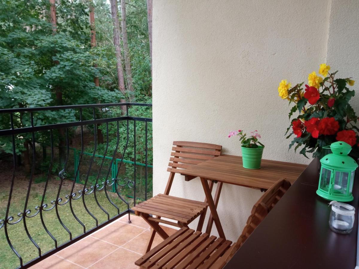 Borowka W Blue Mare Apartment Lukecin Exterior photo